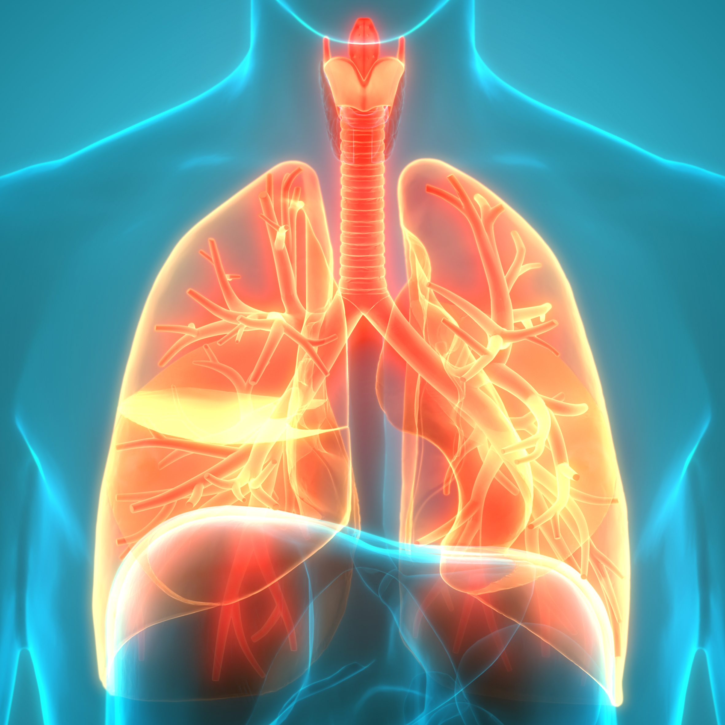 Wijk Samenwerkingsverband_COPD